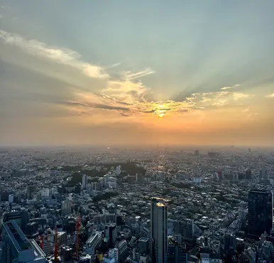 Tokio im Sommer - unsere Highlights Tokio im Sommer - unsere Highlights
