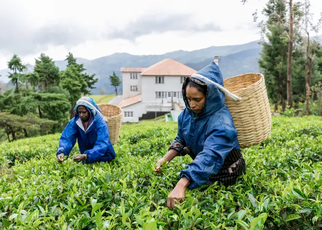 Sri Lanka – Zwischen Natur, Begegnungen und stilvollem Reisen Sri Lanka – Zwischen Natur, Begegnungen und stilvollem Reisen