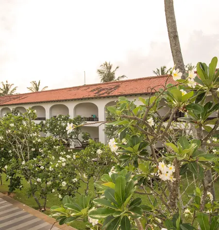 Sri Lanka de Luxe