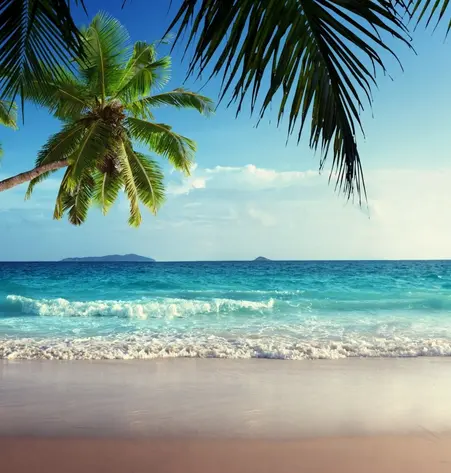 Seychellen: Praslin/Silhouette