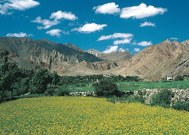Ladakh und Kashmir