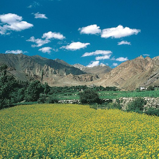 Ladakh und Kashmir
