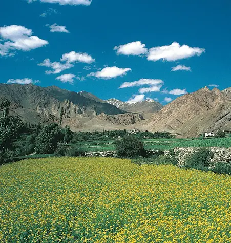 Ladakh und Kashmir