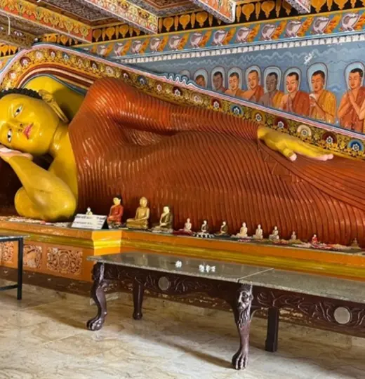 Reise durch Sri Lanka mit anschliessender Ayurveda Kur