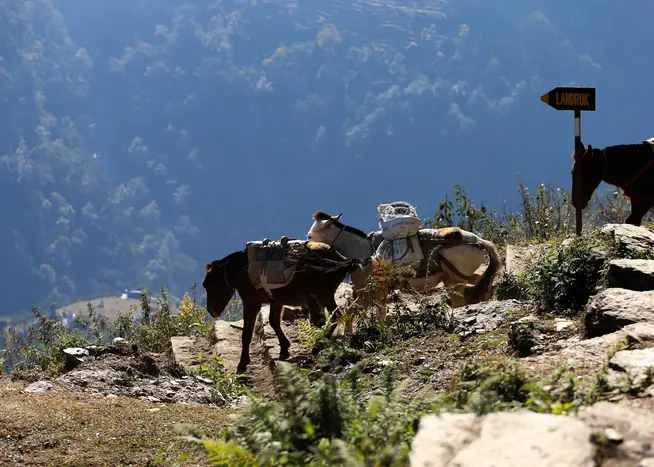 Dolpo-Trekking Dolpo-Trekking